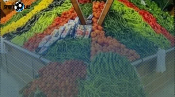 أسعار الطماطم والخضراوات في كفر الشيخ السبت 1 نوفمبر 2025